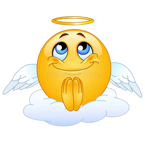 Review Member RAJANTARA77